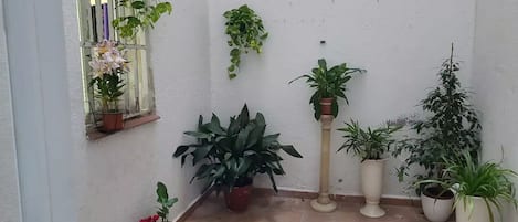 Área da propriedade