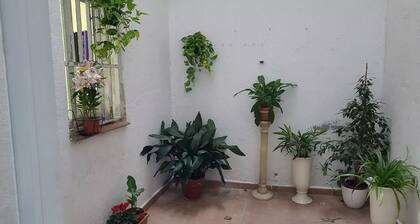 Apto acogedor Barrio Salamanca