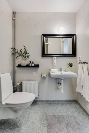 Habitación Deluxe | Baño | Secador de pelo y toallas