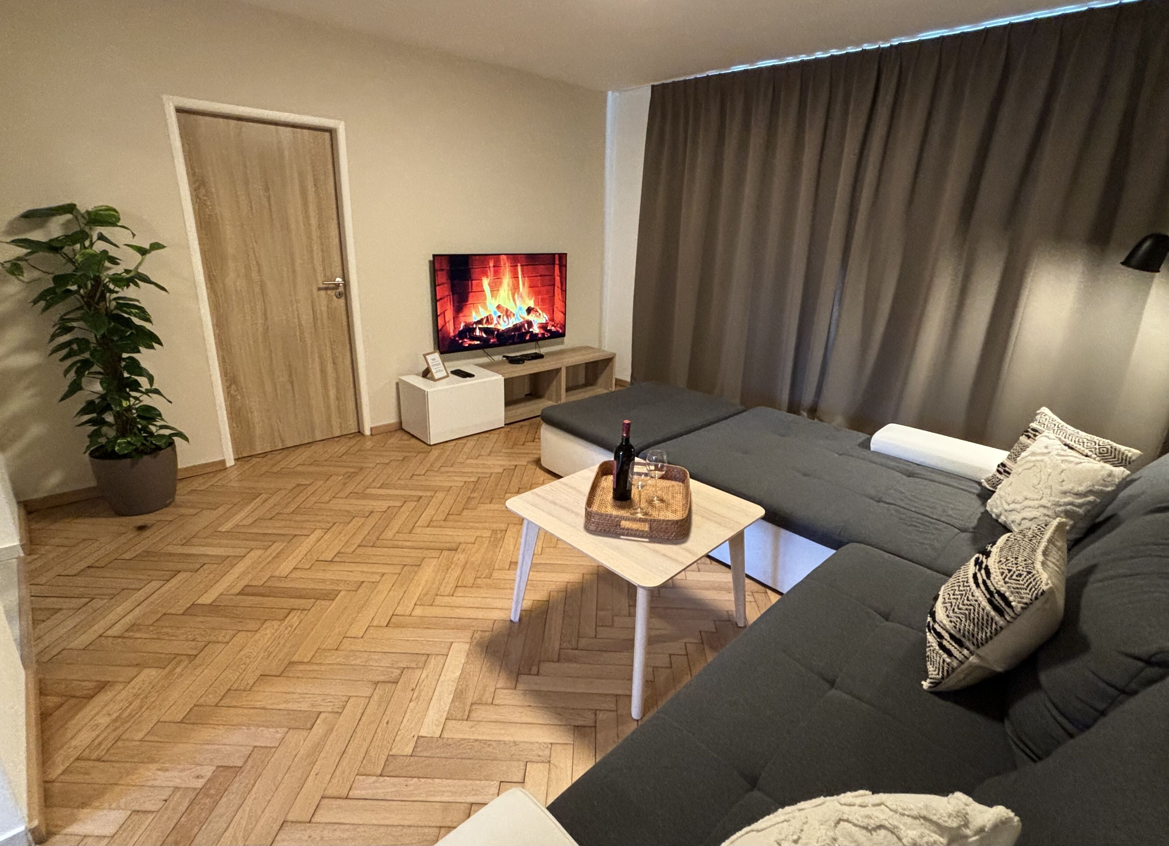 A modern living room with a sofa, a coffee table, a TV, and a potted plant.