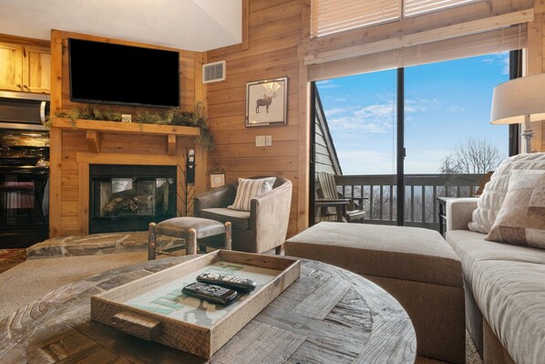 TV, fireplace, video games