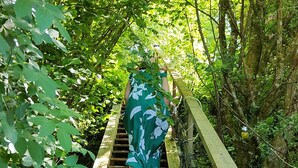 A wooden staircase surrounded by lush greenery. - DOMAINE RÊVES ETOILÉS (La Roche-Maurice)