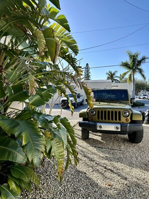 Property grounds - Angela's Jewel Box Cottage - Storybook home! Walk to  beach, restaurants & park. (Indian Rocks Beach)