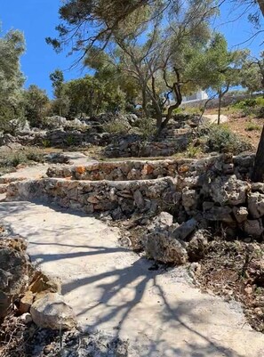 An outdoor stone pathway leading through a natural landscape with trees and rocky terrain.