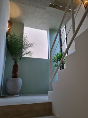 Interior - Casa Nova em Camburi (Praia de Camburí São Sebastião)