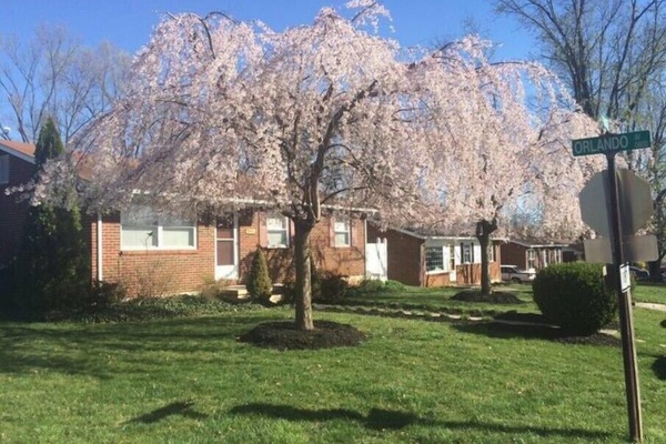 Front of house in the Spring Time