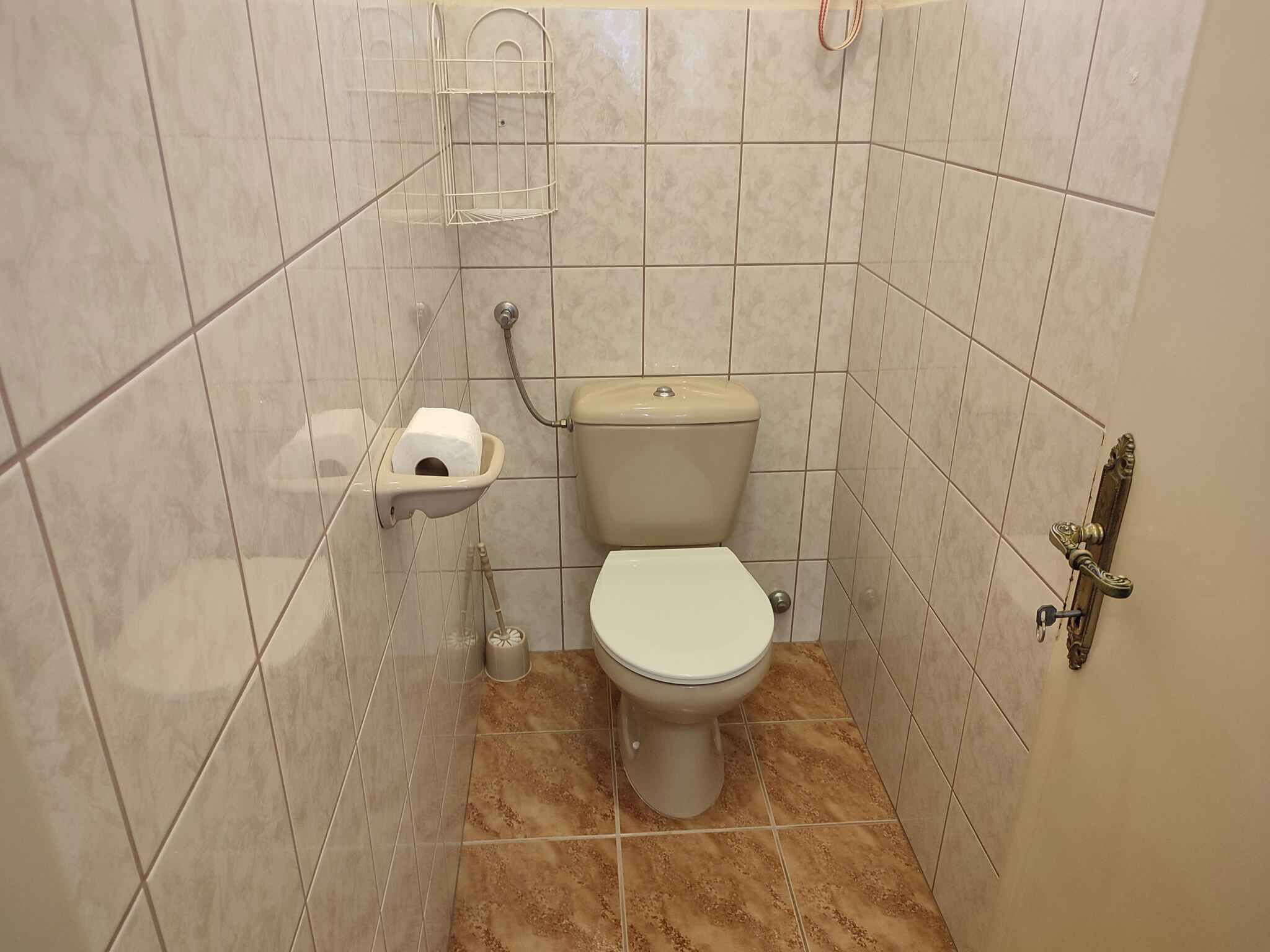 A small bathroom with a toilet, a toilet paper holder, and a shower hose.
