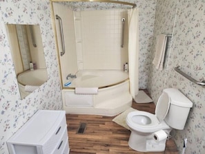 Hair dryer, towels, soap, shampoo