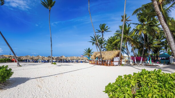 A beach with white sand, palm trees, and thatched-roof structures. - Beachfront 8BR Villa with Pool & Maid (Punta Cana)
