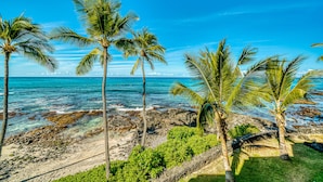 A beach with palm trees and rocky shoreline. - Kona Bali Kai (Kailua-Kona)