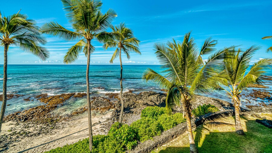 Kona Bali Kai
