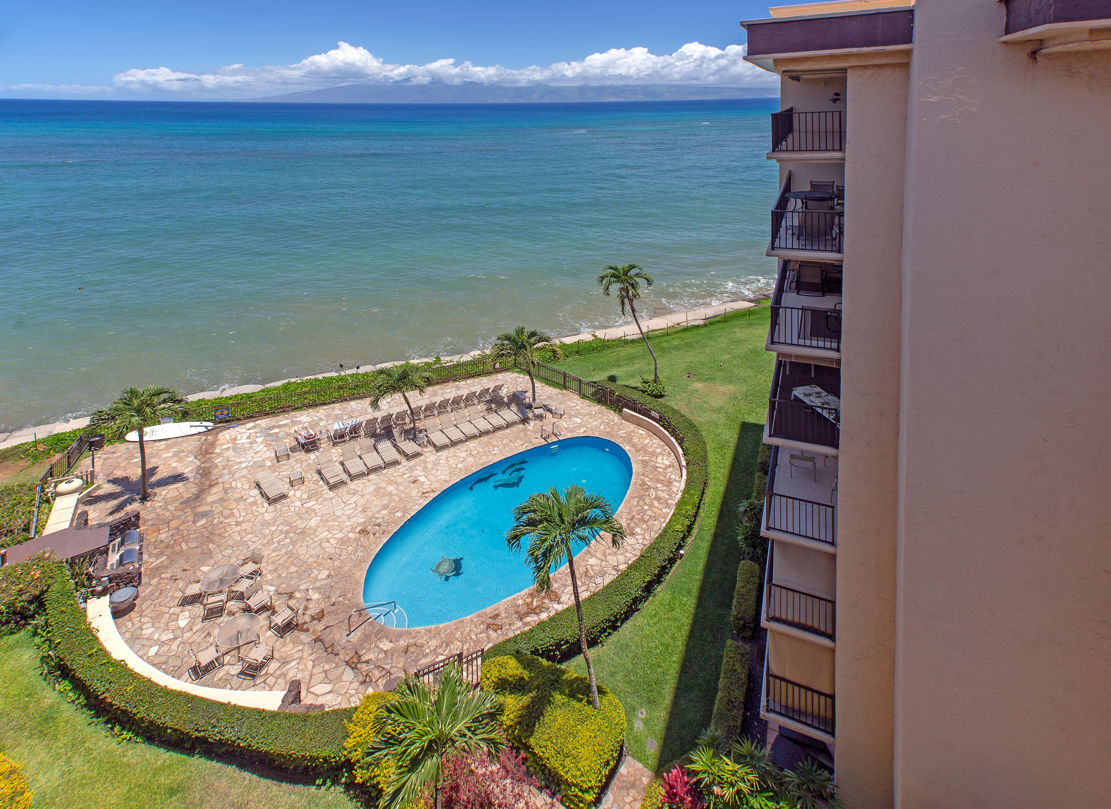 A pool area with lounge chairs and a small pool, surrounded by a well-maintained lawn and a view of the ocean.