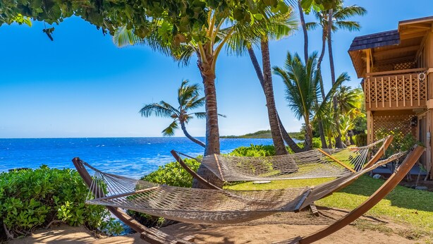 A hammock under a tree by a beach with palm trees and a view of the ocean. - Vacasa at Hotel Molokai (Kaunakakai)