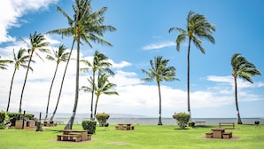 A grassy outdoor area with palm trees and picnic tables, overlooking a body of water. - Molokai Shores (Kaunakakai)