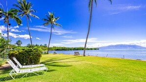 A grassy area with a white lounge chair, two wooden benches, and palm trees. - Wavecrest (Kaunakakai)