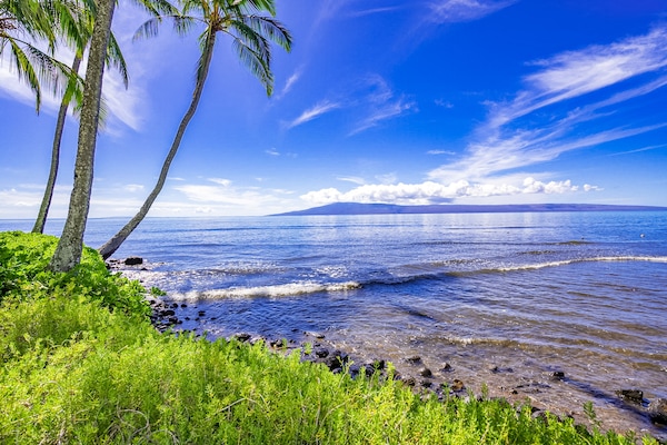 Beach/ocean view