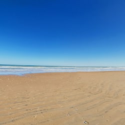 On the beach