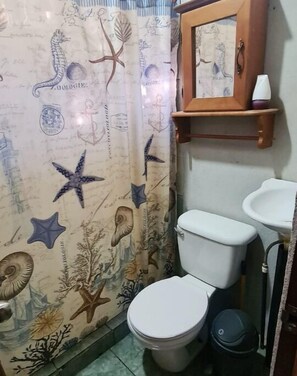 Regadera, toallas, jabón, shampoo 