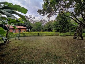 Surrounded by lush greenery, this serene outdoor space features a beautifully maintained lawn and a charming residential building.