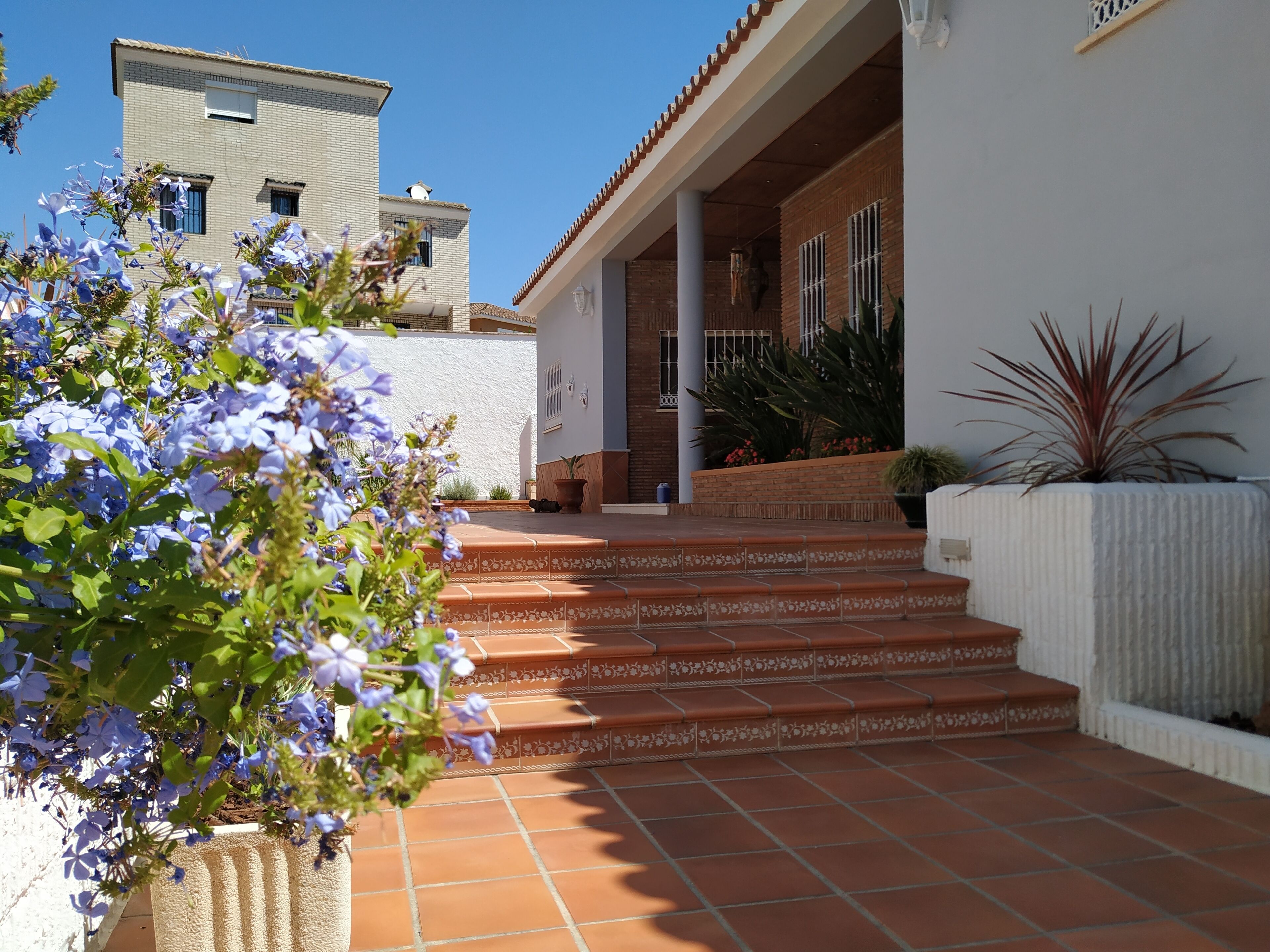 Terrein van de accommodatie