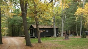 A cabin in a forest with a dirt path leading to it.