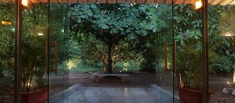 The Lantern House by Jade

