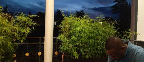 Chambre Simple Exclusive | Terrasse/Patio