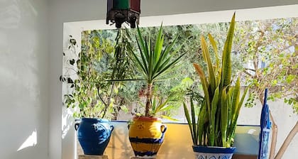 Au CĆur de Sidi Bou Said