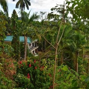 Property grounds - Ocean Sounds Private Apt for couples! Marina view (QUEPOS)