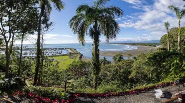 A coastal landscape with a beach, palm trees, and a view of the ocean.