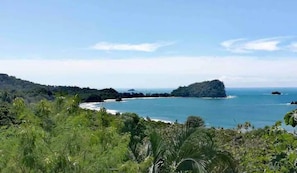 Un paysage côtier caractérisé par une végétation luxuriante, une plage et un ciel dégagé.
