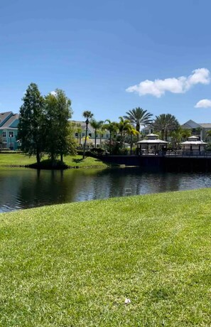 Property grounds - Lake Front Mickey House 7 (Kissimmee)