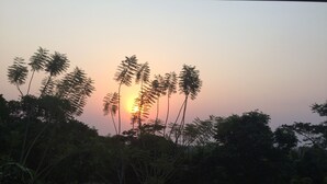 A sunset with palm trees silhouetted against the sky. - Cosy, personal, family-friendly nature retreat surrounded by trees and fresh air (Aburi)