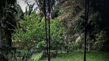 Miscellaneous