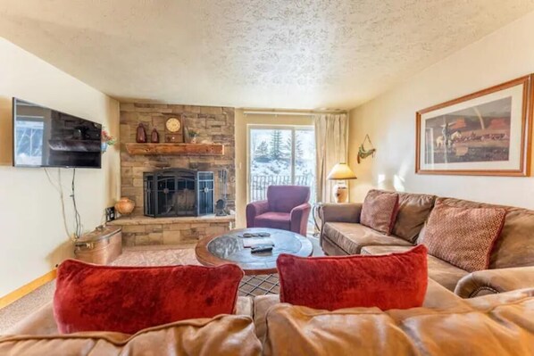 Smart TV, fireplace, books