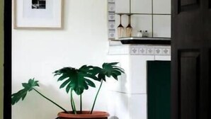 Een kamer met betegelde vloer, een potplant, een ingelijst beeld en een betegelde spatwand, plus een plafondlamp.