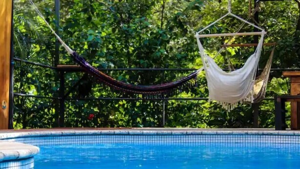 Uma piscina com uma rede, cercada por vegetação exuberante.