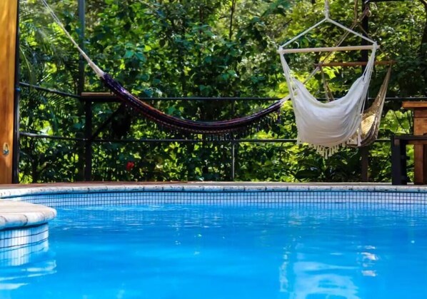 Ein Pool mit einer darüber hängenden Hängematte, umgeben von üppiger Vegetation.