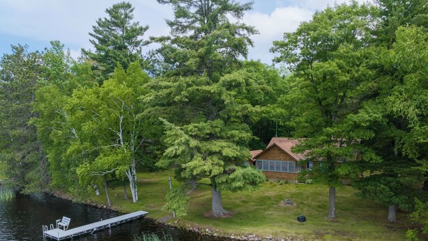 En stuga vid sjön med en brygga, omgiven av tät skog och en gräsyta.