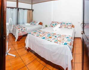 3 slaapkamers, een strijkplank/strijkijzer, gratis wifi, beddengoed