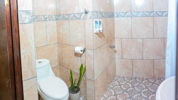 Shower, towels, soap, shampoo