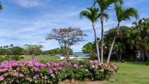 A lush garden with flowering shrubs, palm trees, and a view of the ocean. - Sapphire Beach Retreat - Luxury Oceanfront Gem! (St Thomas)