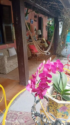 Property grounds - Fato Marrok (Cocaia Ilhabela)