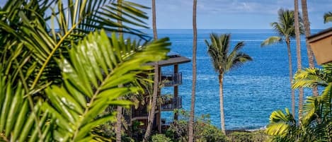 House, Multiple Beds (Kona Makai 5-305) | Property grounds