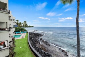 Property grounds - Banyan Tree 301: Oceanfront 2/2 Remodeled With AC (Kailua-Kona)