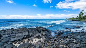 Lejlighed - flere senge (Banyan Tree 301: Oceanfront 2/2 Remod) | Strand