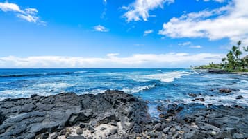 Condo, Multiple Beds (Banyan Tree 301: Oceanfront 2/2 Remod) | Beach