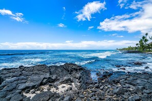 Apartment, Mehrere Betten (Banyan Tree 301: Oceanfront 2/2 Remod) | Strand