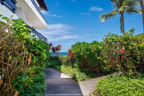 Condo, Plusieurs lits (Casa De Emdeko 117) | Terrain de l’hébergement 