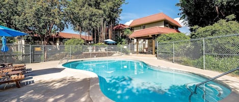 Condo, Multiple Beds (Kona Mansions#124) | Pool
